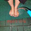 대불스포츠센터 이미지