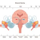 베이스피티 이미지
