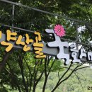 죽곡1어린이공원 네이버블로그