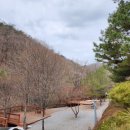 펜션벨뷰캠핑장 이미지