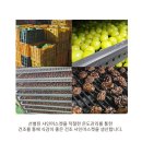 마켓이루팜 이미지