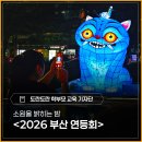 화합 | 소원을 밝히는 밤 - <2026 부산연등회> 개막 점등식 후기