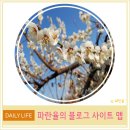NR-43[은행나무로]-상-124 | 파란율의 블로그 사이트 맵