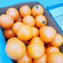 영남대 성남 태권도장 | 두류동태권도 가족을 위한 청만들기!