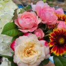 뽑기언냐 이미지