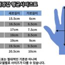 퓨마 골키퍼장갑을 사보려는데 퓨마제품은 처음이라서 질문좀 드릴게요 이미지