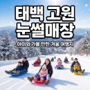태성종합정비 | 태백 고원 눈썰매장 후기, 아이와 가볼 만한 겨울 여행지