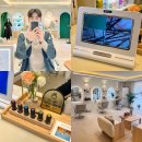 (주)바른약품 | 제주도 미용실 제주 노형동 컬러드스파 염색 두피마사지