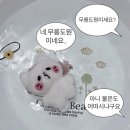 웰킨(일산화정점) | 일산두피관리 어디갈지 고민 끝 | 웰킨두피탈모센터 일산화정점 파워디톡스스케일링 후기