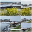 남도미락횟집 | 전남 신안 천사섬 여행 중 먹은현지인 추천 남도 밥집 맛나요