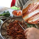 차돌박힌쭈꾸미 이미지