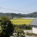 펜션 숲 이미지