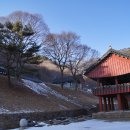 비로사 - 1746 | 비로사