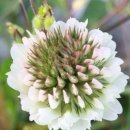 농도원1길 이미지