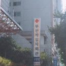 부산적십자회관수영장 이미지