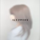 조앤리 헤어클럽 이미지