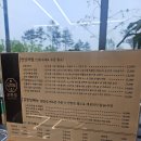 모한집 이미지