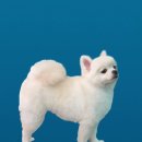 살롱드삐삐 이미지