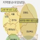 꼬르륵 - 세종특별자치시 한누리대로 2236 | 꼬르륵