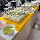 케이티 구내식당 | kt맛집 kt분당사옥 구내식당 이용 후기~