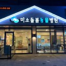 상록 동물병원 이미지