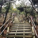 계양산 | 🌸 계양산 봄산행 후기｜벚꽃길 + 천국의계단 코스 (박물관 코스)