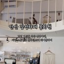 카페 몽화원
