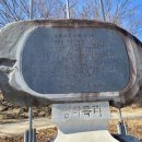 방하목 이미지