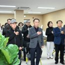 드림 골프클럽 Daum카페