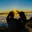 장흥비동돌담 이미지