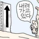 2025년 부동산 전망과 재테크 전략 네이버블로그