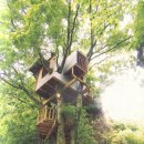 트리하우스 이미지