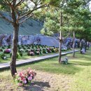 신기수목장 이미지