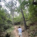 스포츠 - 동구 계족로 440 | 코오롱스포츠 어프로치 등산화 후기 :) 황령산에서 첫 개시한 내돈내산!