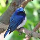 외연도6 이미지