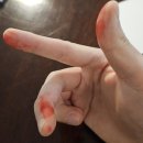 종로-신교-종로-신-201 | 26년 목표: 아도치기