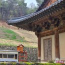 경상북도 안동시 하회마을관리사무소 | 안동 관내 답사 후기 (봉정사, 부용대, 하회 마을, 도산서원의 알쓸없잡까지)