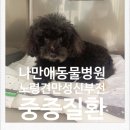 나만 애 동물병원 이미지