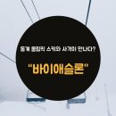 충격정식 이미지