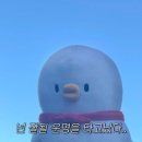 예원문구 | [일상기록] 서면 예원사주&타로 후기