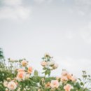 청담와이즈