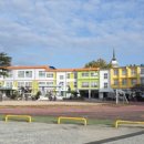 보성남초교, 보성초 이미지