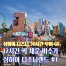 우주마더스 밥버거 | 12시간 꽉 채운 3월 초 비수기 상하이 디즈니랜드 (1) | 30시간 상하이 디즈니랜드 여행