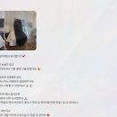 다다붙임머리앤(&)케어샵 네이버블로그
