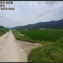 금지면 택촌마을 이미지