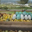 샘밭 농장 이미지