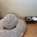 호텔그랜드스위트 이미지