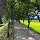 광덕1리경로당 이미지