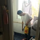 목련모자원 이미지