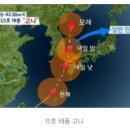 청송사과불티농장 이미지